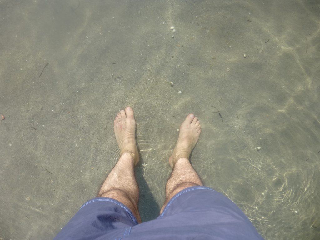 Accesibilidad e Inclusión Digital