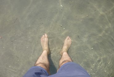 Accesibilidad e Inclusión Digital