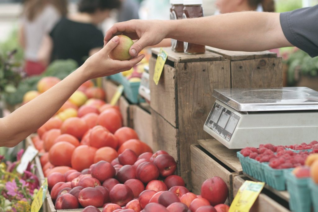 Educacion y consumo